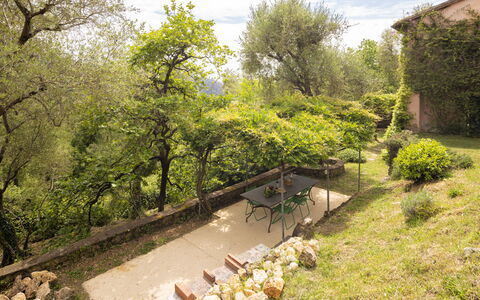 La Casa Dei Limoni, Camaiore, Pet Friendly, Wifi: Leaf, Vegetation, Shrub, Garden, Plant Community, Rural Area, Spring, Backyard, Landscaping