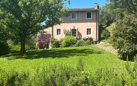 La Casa Dei Limoni, Camaiore, Pet Friendly, Wifi: Sky, Plant, Property, Window, Building, Natural Landscape, Tree, Land Lot, Grass, House