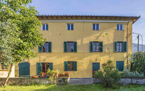 Casale Il Farro - Camaiore, Toscana: Plant, Building, Window, Sky, Tree, Land Lot, House, Grass, Cottage, Residential Area