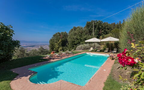 Villa Belvedere: Water, Plant, Property, Sky, Swimming Pool, Azure, Flower, Umbrella, Tree, Chair