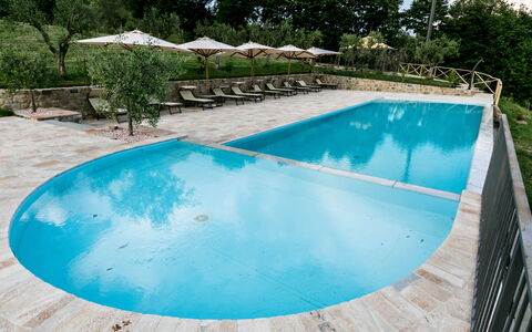 Villa Niccione: Water, Plant, Swimming Pool, Azure, Tree, Rectangle, Shade, Aqua, Composite Material, Leisure