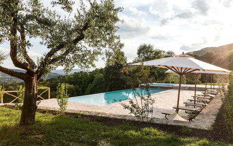 Villa Niccione: Plant, Water, Sky, Cloud, Swimming Pool, Shade, Tree, Land Lot, Outdoor Furniture, Leisure
