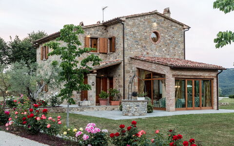 Villa Niccione: Flower, Plant, Property, Building, Window, Tree, House, Land Lot, Door, Sky