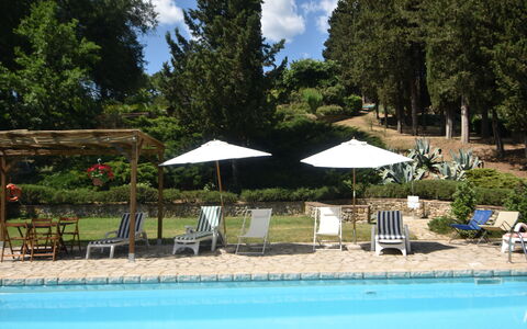 Podere Le Muricce: Water, Plant, Cloud, Umbrella, Sky, Swimming Pool, Tree, Shade, Chair, Outdoor Furniture