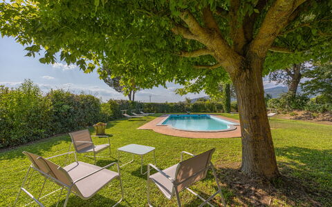 Villa Marconi: Plant, Plant Community, Furniture, Table, Tree, Shade, Outdoor Furniture, Land Lot, Vegetation, Chair