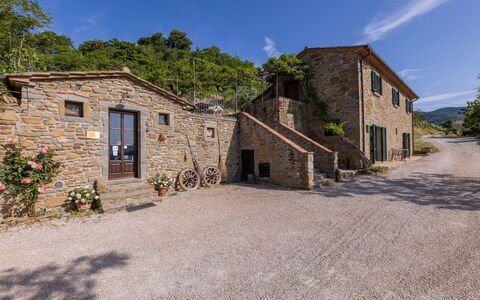 Casale Della Torre: Plant, Sky, Cloud, Building, Window, Property, House, Tree, Land Lot, Architecture