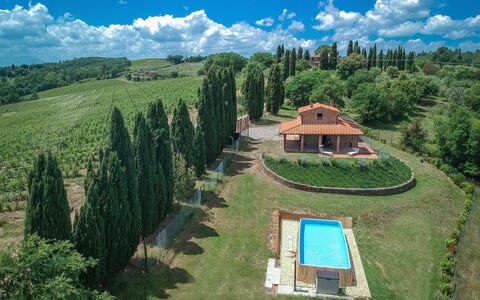 Vineyard’s Cottage With Pool, Ac, Wifi - Siena: Cloud, Sky, Plant, Natural Landscape, Land Lot, Tree, Vegetation, Grass, Landscape, Rural Area