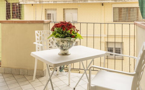 Leandro's House Near Thermal Baths: Flower, Table, Furniture, Window, Plant, Wood, Building, Flowerpot, Interior Design, Flooring