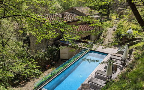 Mulino Morandi: Water, Plant, Water Resources, Plant Community, Cloud, Natural Landscape, Shade, Watercourse, Tree, Sky