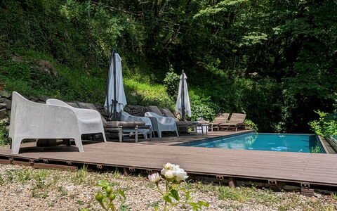 Mulino Morandi: Plant, Flower, Plant Community, Natural Landscape, Tree, Wood, Outdoor Furniture, Vegetation, Shrub, Groundcover