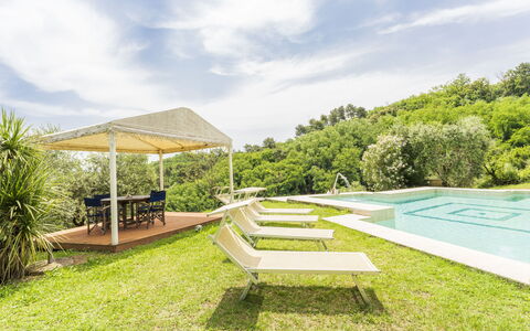 Villa Montegattoli, Pool, Landscape, Wifi, Ac: Plant, Cloud, Sky, Outdoor Furniture, Shade, Natural Landscape, Grass, Swimming Pool, Leisure, Landscape