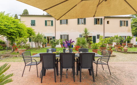 Villa Montegattoli, Pool, Landscape, Wifi, Ac: Plant, Table, Furniture, Window, Building, Chair, Outdoor Furniture, Tree, Outdoor Table, Yellow