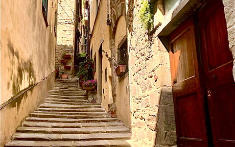 Vicolo Della Scala Rooms: Building, Wood, Road Surface, House, Plant, Stairs, Flooring, Neighbourhood, Alley, Tints And Shades