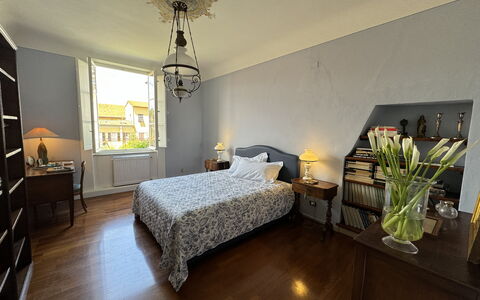 Piazza S. Romano: Furniture, Plant, Window, Comfort, Table, Building, Wood, Interior Design, Houseplant, Shade