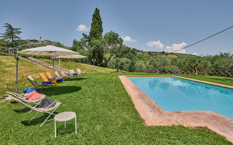 Villa Conte Jacopo: Sky, Water, Cloud, Swimming Pool, Tree, Plant, Outdoor Furniture, Shade, Land Lot, Grass