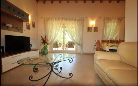 Villa Carducci: Couch, Property, Picture Frame, Window, Decoration, Building, Houseplant, Curtain, Interior Design, Living Room