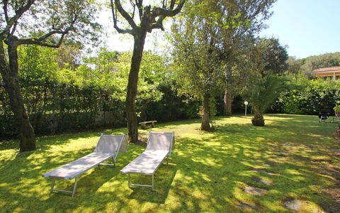 Villa Le Macchie: Plant, Sky, Tree, Shade, Natural Landscape, Land Lot, Sunlight, Landscape, Leisure, Grass