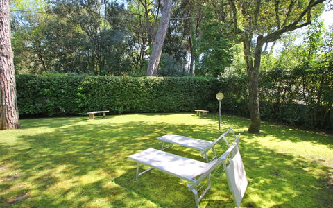 Villa Le Macchie: Plant, Table, Tree, Shade, Outdoor Furniture, Natural Landscape, Vegetation, Sunlight, Grass, Groundcover