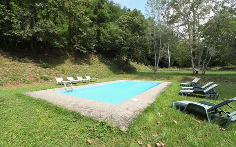 Villa Del Mulino: Plant, Shade, Land Lot, Sky, Grass, Groundcover, Swimming Pool, Leisure, Outdoor Furniture, Tree