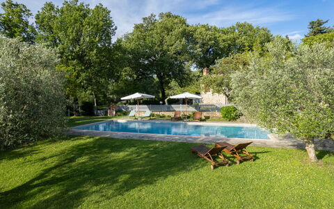 Villa Ida: Plant, Sky, Water, Cloud, Swimming Pool, Natural Landscape, Tree, Outdoor Furniture, Shade, Grass