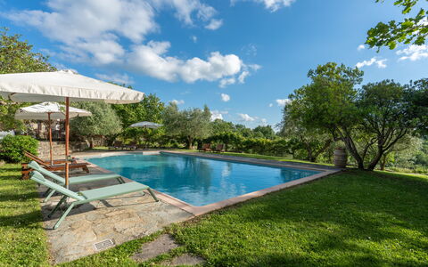 Villa Ida: Water, Cloud, Plant, Sky, Swimming Pool, Tree, Grass, Shade, Outdoor Furniture, Natural Landscape