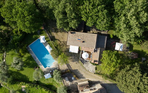 Villa Ida: Plant, Property, Building, Tree, Architecture, Vegetation, Window, Grass, Urban Design, Cottage