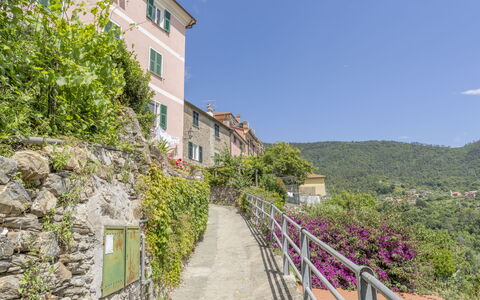 Emma House, Terrace and Sea View, Moneglia: Plant, Sky, Property, Building, Window, Vegetation, Slope, Flower, Tree, Wall