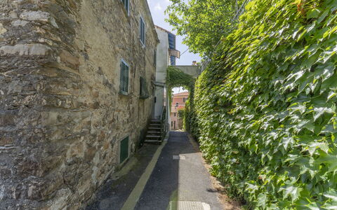 Emma House, Terrace and Sea View, Moneglia: Plant, Road Surface, Architecture, Building, Grass, Window, Road, City, Tree, Facade