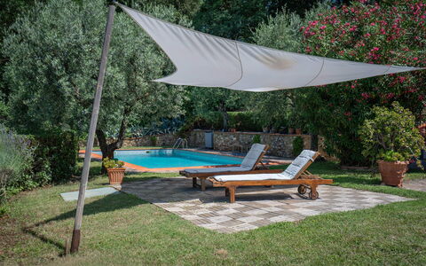 Chianti Hills Apartment, Pool, Ac: Plant, Water, Table, Shade, Flowerpot, Tree, Outdoor Furniture, Sunlounger, Swimming Pool, Leisure