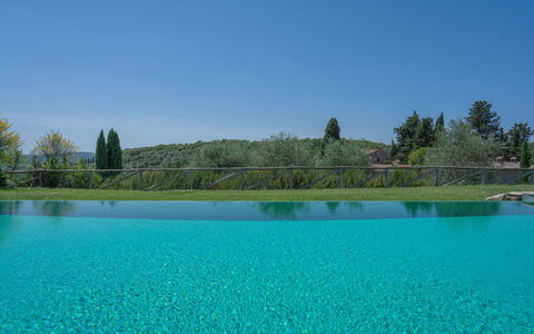 Chiara House In Galenda, Chianti, Pool And Nature: Water, Sky, Water Resources, Plant, Nature, Tree, Natural Landscape, Lake, Coastal And Oceanic Landforms, Swimming Pool