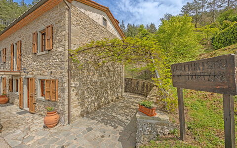 La Montana: Plant, Building, Cloud, Property, Sky, Tree, Window, Land Lot, House, Brick