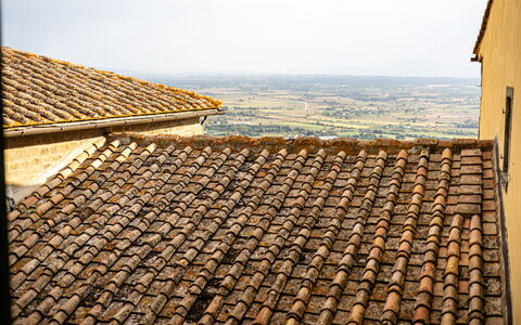 Appartamento Vagnucci: Sky, Wood, Brick, Building, Brickwork, Flooring, Tints And Shades, Rectangle, Roof, Facade