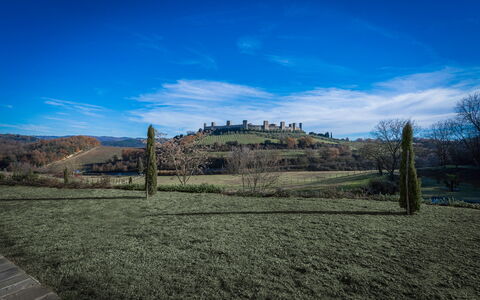 Santa Colomba House, Siena, Nature And Pool: Grass, Grassland, Landscape, Plain, Land Lot, Rural Area, Field, Pasture, Meadow, Prairie