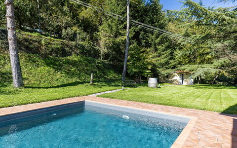 Villa Chicco: Water, Plant, Property, Natural Landscape, Grass, Swimming Pool, Rectangle, Composite Material, Leisure