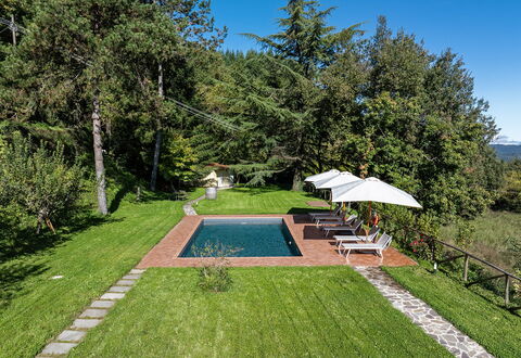 Villa Chicco: Plant, Sky, Umbrella, Botany, Tree, Shade, Land Lot, Grass, Swimming Pool, Leisure