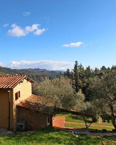 La Maggiolina & La Bastide: Cloud, Plant, Sky, Property, Ecoregion, Natural Landscape, Tree, Natural Environment, Window, Land Lot