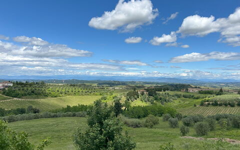 Ciliegino Spereto Apartment, Pool And Relax , Mont: Sky, Daytime, Natural Environment, Grass, Nature, Cloud, Horizon, Vegetation, Natural Landscape, Grassland
