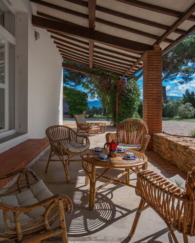 Poggetti San Luigi Country Home Follonica: Plant, Furniture, Table, Property, Chair, Shade, Outdoor Furniture, Wood, Sky, Tree