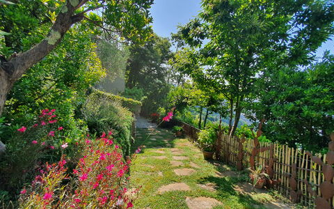 La Casa Sul Forte: Flower, Green, Nature, Vegetation, Shrub, Garden, Spring, Petal, Botanical Garden