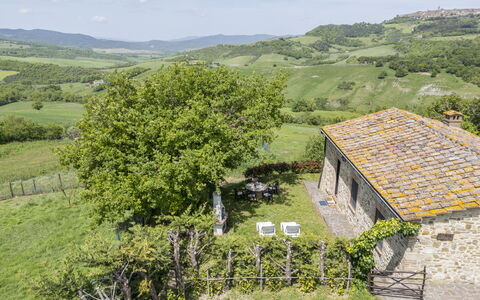 Marcigliana Cottage, Pool, Radicondoli: Plant, Building, Cloud, Sky, Natural Landscape, Tree, Highland, House, Landscape, Groundcover