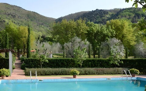 Villa Bongi: Swimming Pool, Shrub, Garden, Eco Hotel, Resort, Hacienda, Estate, Landscaping, Plantation, Evergreen