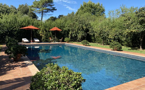 Villa Bongi: Swimming Pool, Resort, Shade, Garden, Water Feature, Leisure, Eco Hotel, Outdoor Furniture, Hacienda, Landscaping