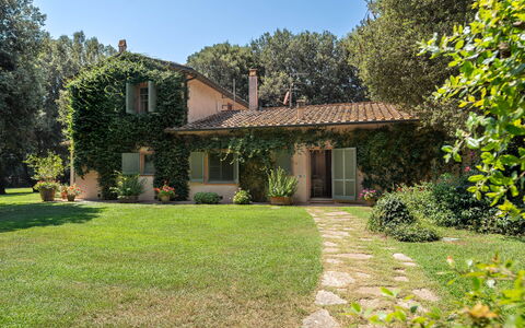 Casale Rosa: Tree, Leaf, Grass, House, Branch, Home, Vegetation, Shrub, Cottage