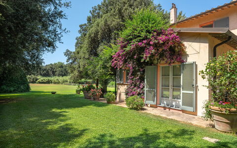 Casale Rosa: Shrub, Garden, House, Home, Plant Community, Land Lot, Groundcover, Lawn, Spring