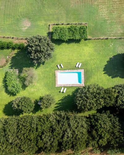 Casale Rosa: Swimming Pool, Garden, Lawn, Shade, Landscaping, Park, Yard, Backyard, Plantation, Evergreen