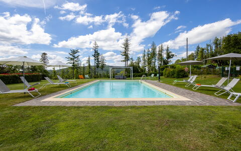 Montelucci Chianti Agrivilla: Water, Cloud, Sky, Plant, Swimming Pool, Building, Tree, Shade, Rectangle, House