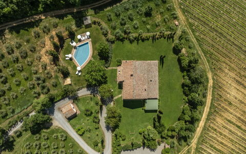 Podere Monti: Landscape, Land Lot, Rural Area, Plain, Estate, Garden, Plantation, Lawn, Landscaping, Bird'S-Eye View
