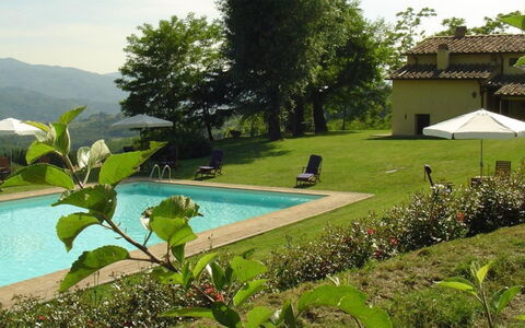 Magnolia e Camelia: Farmhouse, Eco Hotel, Outdoor Furniture, Swimming Pool, Yard, Villa, Hacienda, Backyard