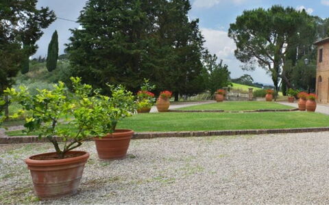 Il Tinaio: Shrub, Garden, Flowerpot, Landscaping, Flagstone, Walkway, Yard, Lawn, Hacienda