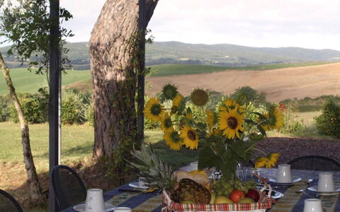 Santo Stefano: Furniture, Tablecloth, Serveware, Food, Chair, Breakfast, Dishware, Outdoor Furniture, Plate